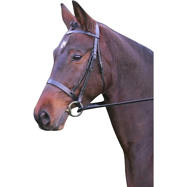 ポロバイラルフローレン サスペンダー ホース柄 馬 希少 USA製