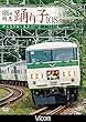 185系 特急踊り子108号 伊豆急下田~東京 [DVD]