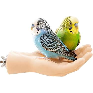 Amazon.co.jp 最新リリース: 鳥用品 の新着ランキングです。