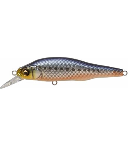 Amazon.co.jp: メガバス(Megabass) ルアー X-80Jr.(X-80ジュニア