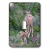 Danita Delimont – 動物 – Mule Deer Doe With Fawn – 照明スイッチカバー – シングルトグルスイッチ( LSP _ 231949 _ 1 )