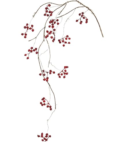 ［ふみちゃん］サンキライ赤 ふみちゃん様専用］サンキライ赤 秋の赤い実コースター/サンキライの