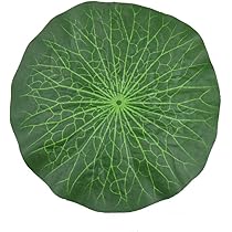 Amazon | お供え用 ハスの葉 小 合繊製 7寸(約21cm) 蓮の葉/蓮葉/はす