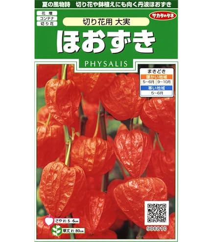 Amazon | 【種子】風船かずら [1037] | 草