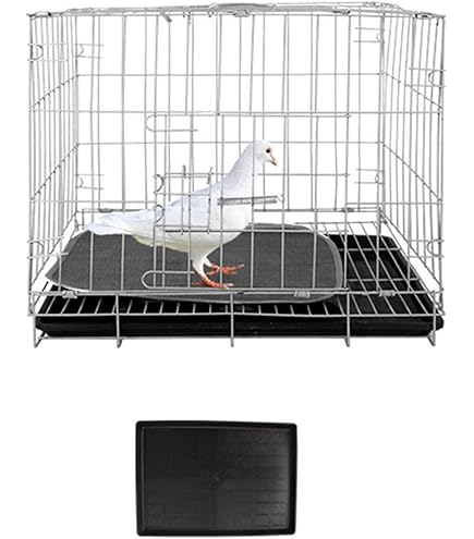 鳥かご（大きめ） Amazon | 鳥かご 金属 大型 白色 60×45×66cm オカメ インコ 文鳥