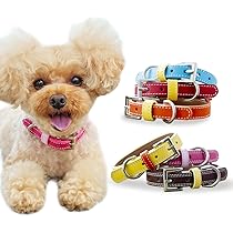 Amazon | 犬 首輪 おしゃれ かわいい ブランド 中型犬 小型犬 超小型犬