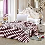 Ben&Jonah Designer Plush Queen Chevron Print Micro Fleece Jacquard Blanket -Purple by Ben&Jonah