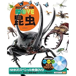 DVD付 昆虫 (講談社の動く図鑑MOVE) DVD付 昆虫 (講談社の動く図鑑MOVE)