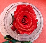 プリザーブドフラワー　クリスマスドームアレンジ　大きな赤い薔薇　金のラメつき