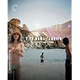 Y tu mamá también (The Criterion Collection) [Blu-ray]