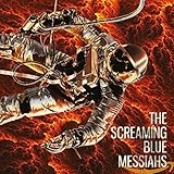 VISION IN BLUES / 5CD+