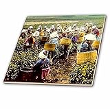 3drose Scenes from the Pastマジックランタンスライド – Pickers Harvesting Tea Crop in Old日本Vintage Hand Colored –