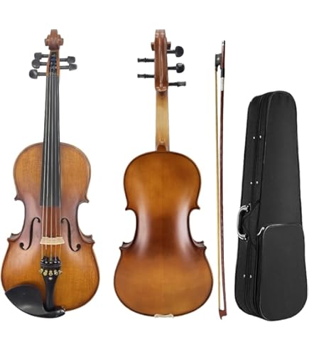 Amazon.co.jp: カルロジョルダーノ ビオラアウトフィット VL-2 16