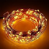 ER CHEN(TM) 66ft Led String Lights,200 Led Starry Lights on 20m Copper Wire String Lights + 12V DC P