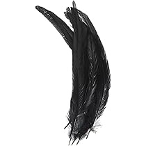 Amazon.co.jp: ノーブランド品 染め羽根 100枚 ガチョウの羽 15-20CM