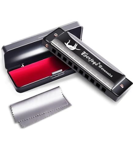 Amazon.co.jp: JTS (ジェーティーエス) ハーモニカ用ダイナミック