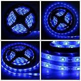 B2ocled Flexible LED Strip Lights2835 LEDs Blue Waterproof LED Light Strip12V DC 16.4ft/5m LED Tape 