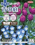 サカタのタネ プラスガーデン 青の庭 チューリップ 花色:紫 球根 10球+タネ2.1ml