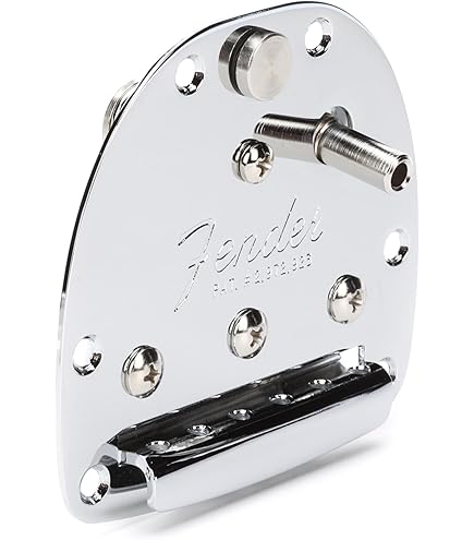 Amazon.co.jp: Fender American Professional Jaguar/Jazzmaster