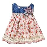 LEMON 女の赤ちゃんのチュチュドレスデニムショートスリーブレースプリンセスパーティーのスカート (100CM)