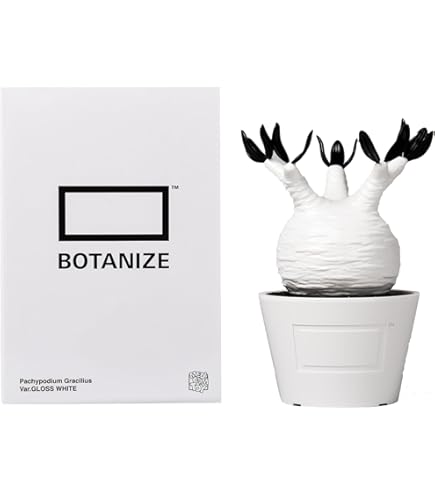 【人気商品】MEDICOM TOY × BOTANIZE VCD Euphorb Amazon | MEDICOM TOY × BOTANIZE VCD Euphorbia obesa gloss