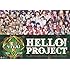 V.A.「Hello! Project 誕生15周年記念ライブ2013冬 ~ビバ!~」