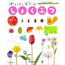 61TLcuWJ4DL._AC_UL210_SR210,
