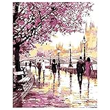 TOOGOO ( R ) DIY oilペイントペイントby Numbers Cherry Blossoms公園図面withブラシペイント大人子供初心者用レベル40 x 50 cm – Framele