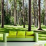 Sproud 大規模なカスタムの壁画壁紙 3D 立体風景ツリーリビングルームベッドルームソファ Tv の背景の壁の装飾の写真の壁紙 430 Cmx 300 Cm