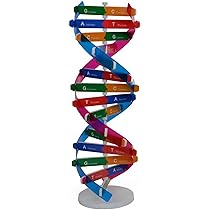 実践造形教育体系　1〜26 実践造形教育体系 1〜26