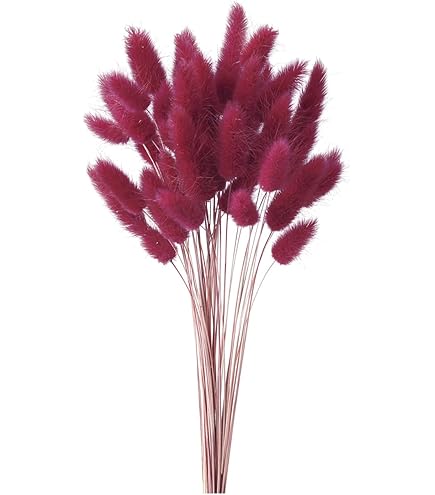 スターフラワーブロッサム　＊レッド　大地農園　☆ 大地農園 「スターフラワー ブロッサム ストロベリー 半束