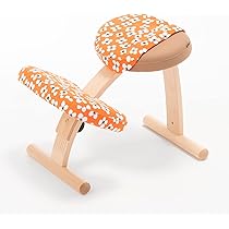 Amazon｜バランス イージー専用カバー【カバーのみ】 バランスラボ(旧 