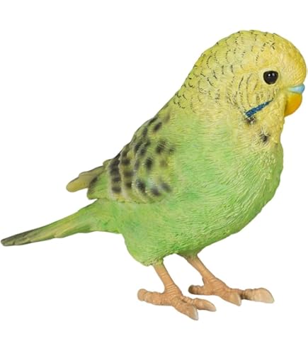 Amazon.co.jp: ウービア 縁飾り 水色セキセイインコ 18.5×6×12