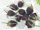 ドライフラワー　スプレー薔薇ヘッド　ボルドー