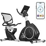 Lifespan Fitness RC-300 Recumbent Bike, black
