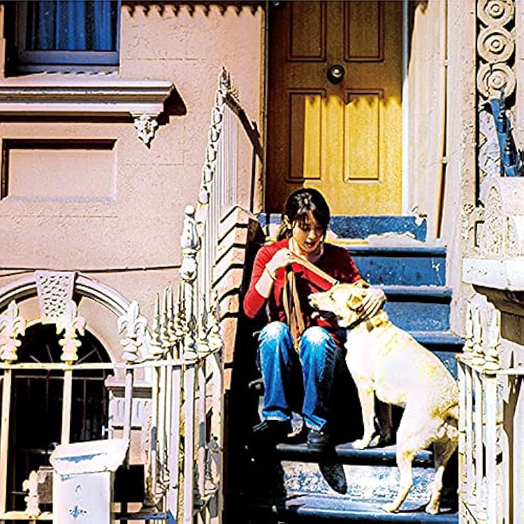 【新品未開封】ZARD 時間の翼 新品未開封】ZARD 時間の翼 時間の翼/ZARD