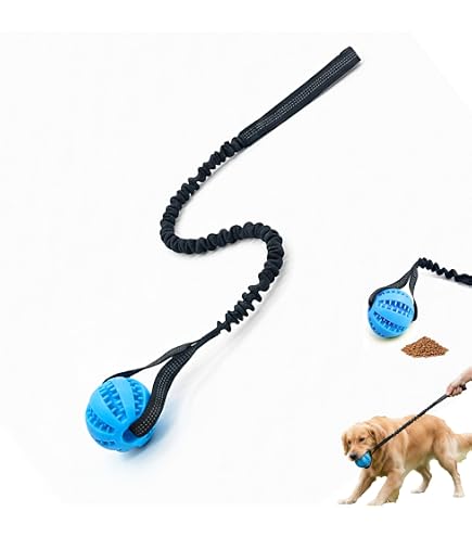 Home Alone (Large) : Amazon.com.au: Pet Supplies