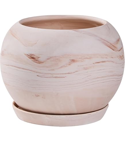 Amazon.co.jp: GOUJIN BOTANIZE 豪人窯 ボタナイズ 植木鉢 陶器 : DIY