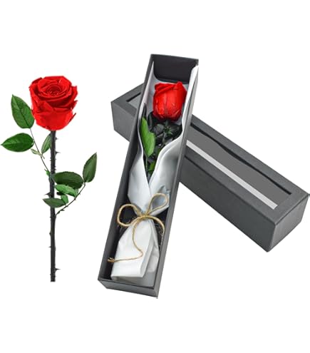 Amazon.co.jp: フロールエバー マイクロローズ サンセットオレンジ 20輪