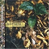 ���ς�鐰�ꂽ����