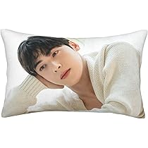 60✕40　チャウヌ枕カバー22番　ASTRO 60✕40 チャウヌ枕カバー22番 ASTRO