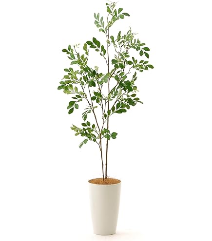 Amazon｜IKEA/イケア FEJKA/フェイカ：人工観葉植物170 cm