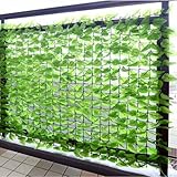 山善(YAMAZEN) リーフラティス 約100×100cm ハードネットタイプ ライトグリーン LLH-11C LG