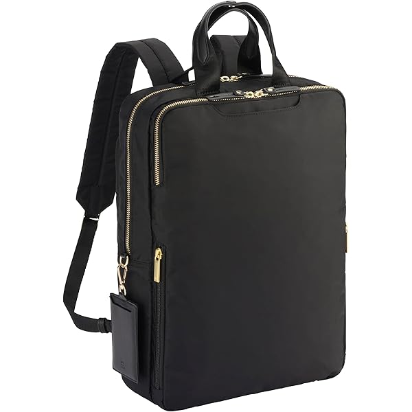 ace エース リモフィス 2way ナイロンリュック A4 PC対応 ビジネス ace エース リモフィス 2way ナイロンリュック A4 PC対応 ビジネス