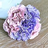 meiliy 1 Bunch 6パックフェイク花柄カーネーションシルク花手Tied Bouquet高品質人工花ウェディングパーティーホームホテルオフィス庭クラフトアート装飾9インチ パープル Meil