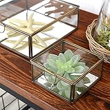 【アジア工房】 ガラスと真鍮でできた鏡付き収納ケース(Sサイズ)(63120) [並行輸入品]