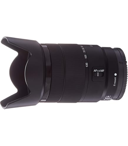 Tamron 18-200 mm VC Di III for Sony NEX - Black : Amazon.sg