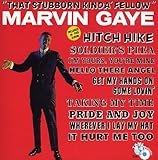 �X�^�{���E�J�C���_�E�t�F���E