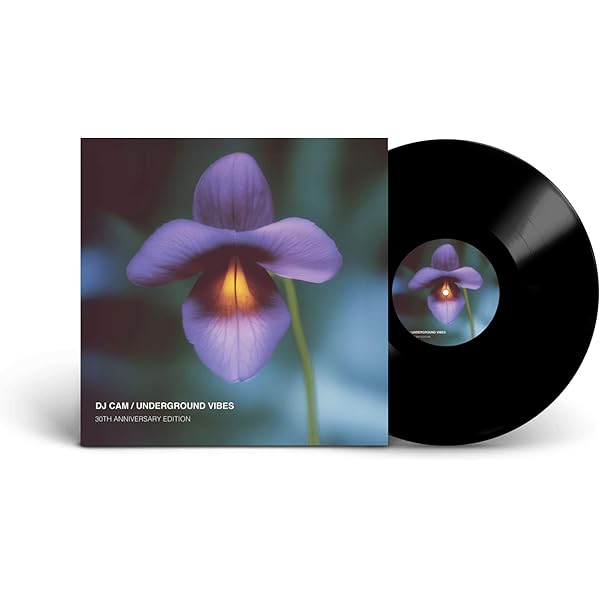 Amazon.co.jp: リキッド・ヒップホップ: ミュージック