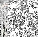 およばれ/tetrodotoxin - Jim O'Rourke,Akira Sakata